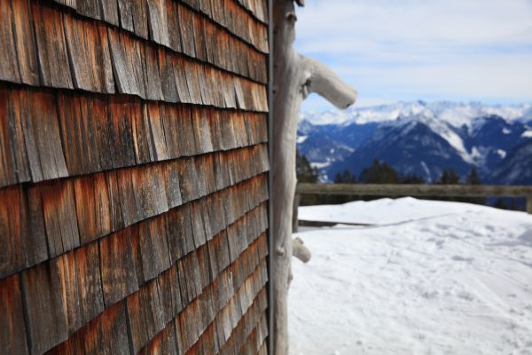 Cedar Siding Repair in Saint Charles