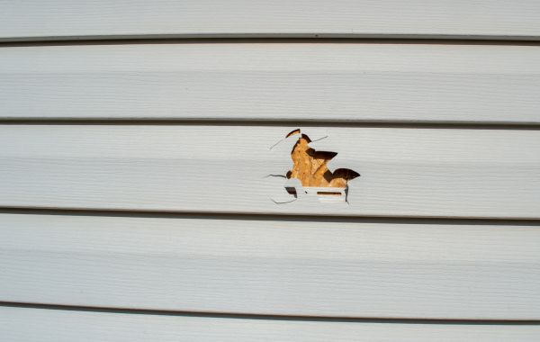 Siding Hole Repair in Saint Charles