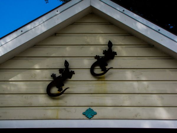 Shiplap Siding Installation in Saint Charles