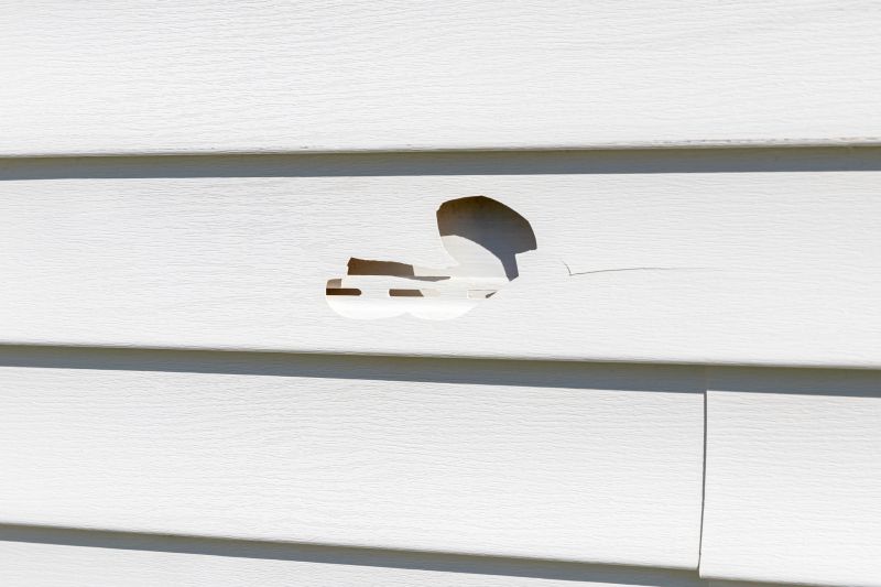 Detail of Vinyl Siding Patch