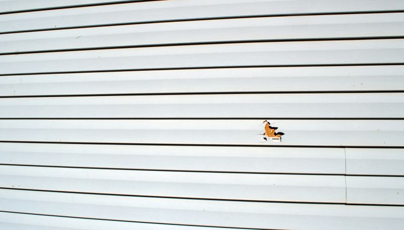 Siding Repair Experts