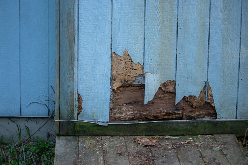 Wood Cladding Repair